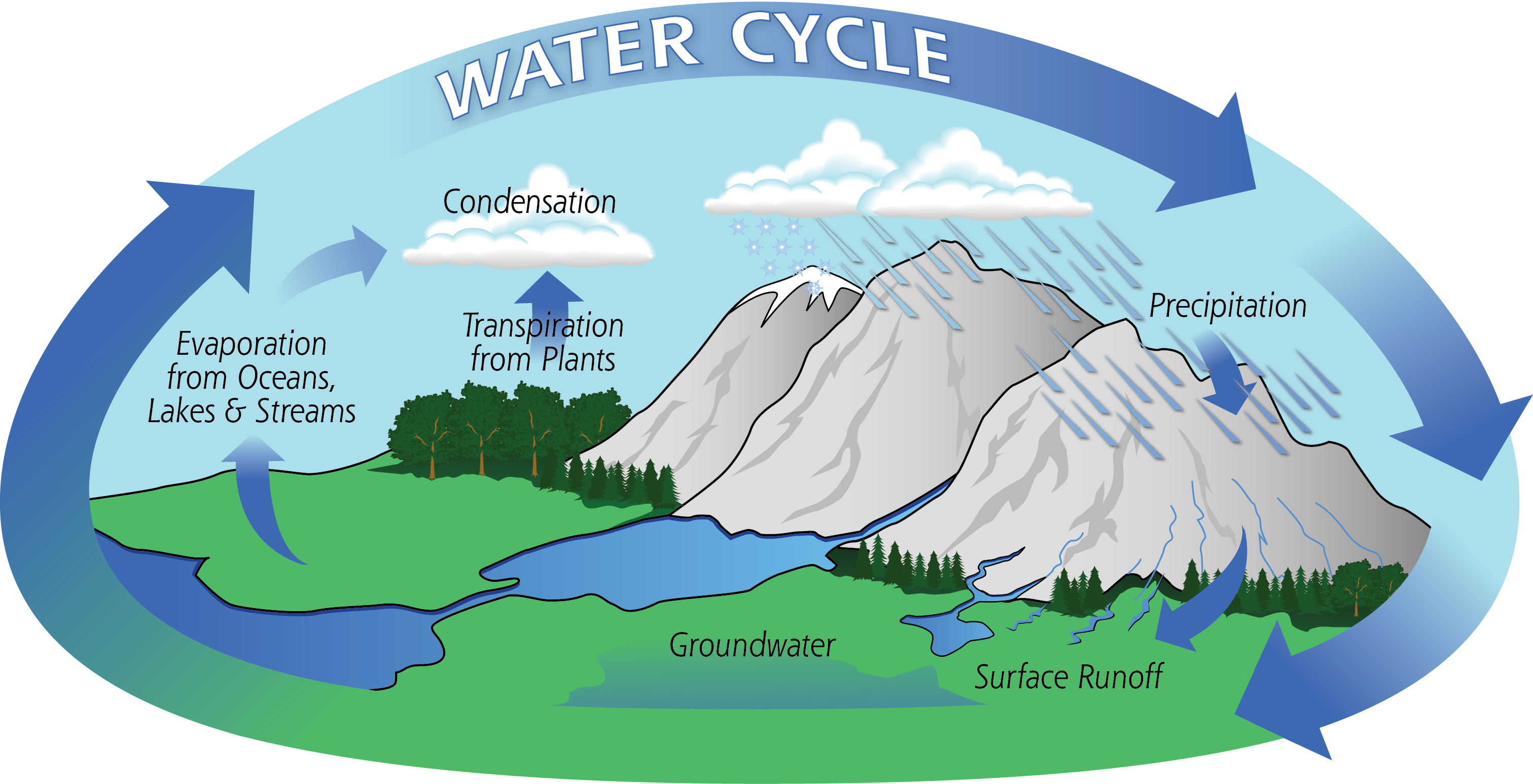 water cycle.